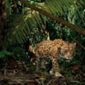 Meet your Posher, Mrs.